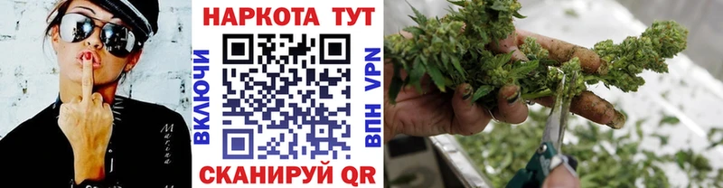 Альфа ПВП Ростов-на-Дону