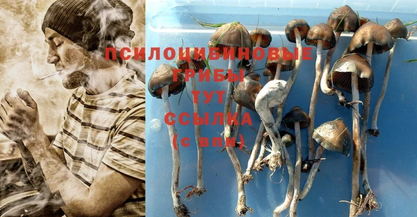 бутират Елабуга
