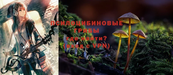 мдма Елизово